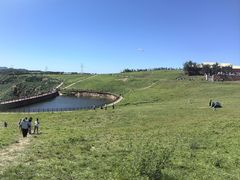-伏羲山旅游区