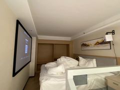 -铂顿国际公寓(广州长隆野生动物世界店)