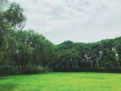 -同里国家湿地公园