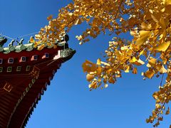 -中国农业博物馆