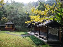-五泄景区