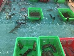 -隆都四季香饭店(碧海路店)