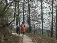 -莫干山风景区