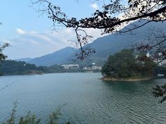 -广州市流溪河国家森林公园
