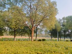 -艾溪湖湿地公园