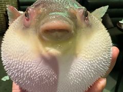 -永安鱼庄·镇江菜(东吴路店)