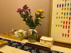 -彩虹之门健康管理