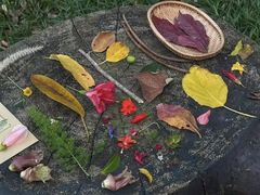 -国家植物园(地铁站)