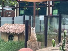 -大连森林动物园