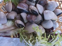 -马家斑.鲜鱼火锅(松湖万科店)