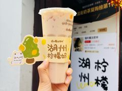 -猫的魔法密林(衣裳街店)