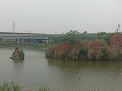 -白鹭湾湿地公园