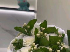 -W·24H茶楼·棋牌·掼蛋(望京店)