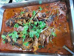 -新珠城鱼坊(龙湖店)