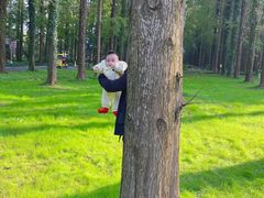 -黄海国家森林公园