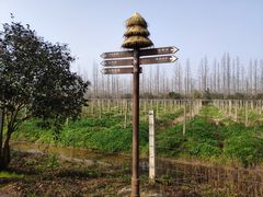 -上海长兴岛郊野公园