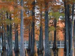 -白鹭湾湿地公园
