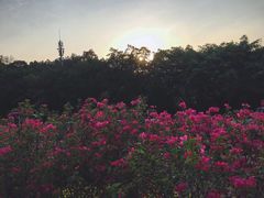 -广州雕塑公园