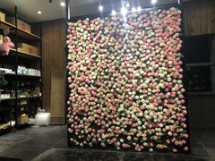 -百好乐宠物友好餐厅(朝外大街店)