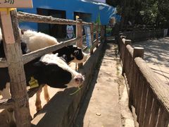 -昆明动物园