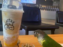 -喜茶(佛山顺德大良东乐路店)
