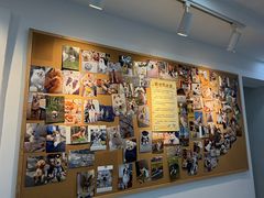 -翊宠yipet猫狗购宠庄园犬舍•猫舍