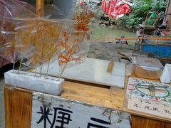 -小洲村