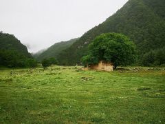 -狮子沟牧场