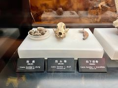 -河姆渡遗址博物馆