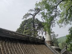 -潭柘寺景区