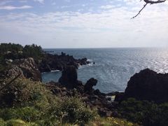 中文大浦海岸柱状节理带-柱状节理带