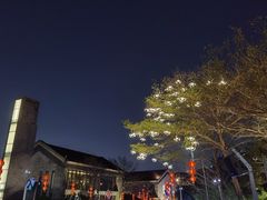 -深圳湾公园(南山区)