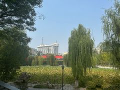 -莲湖公园