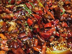 -雲蜀龙阁·金牌水煮鱼(方庄店)