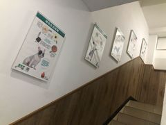 -顺强宠物诊所·狂犬免疫·夜诊·骨科(嘉定店)