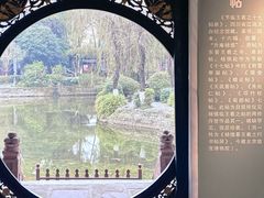 -桂湖森林公园