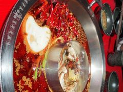 -谭鸭血老火锅(万象九宜城店)
