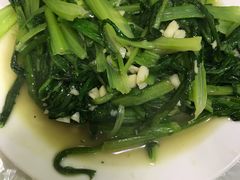 -煲来饱去冷水鱼