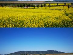-光明小镇欢乐田园