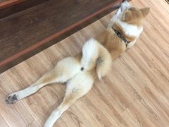 -YCHL Studios健身工作室(市二宫店)