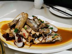 蛏子-华盛丰温州大排档(东三环南路店)