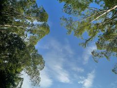 -火炉山森林公园