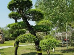 -群力丁香公园