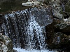 -牛背梁国家森林公园