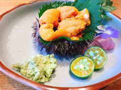 活海胆-渔藤(万柳东路店)