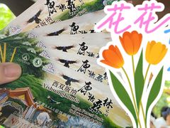-西双版纳原始森林公园