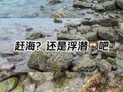 -双月湾