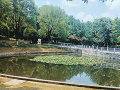 -后襄河公园