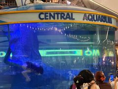 -尚泰清迈机场购物中心