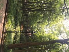 花家山庄-杭州花家山庄